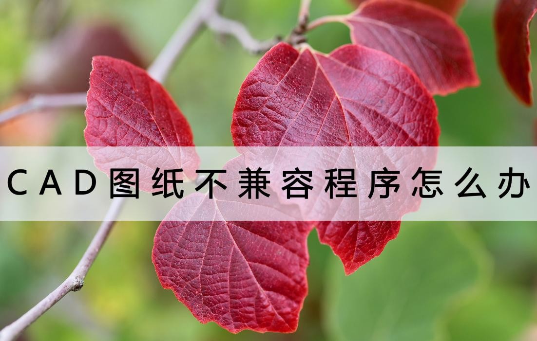 cad图纸不兼容,cad图纸不共面怎么处理