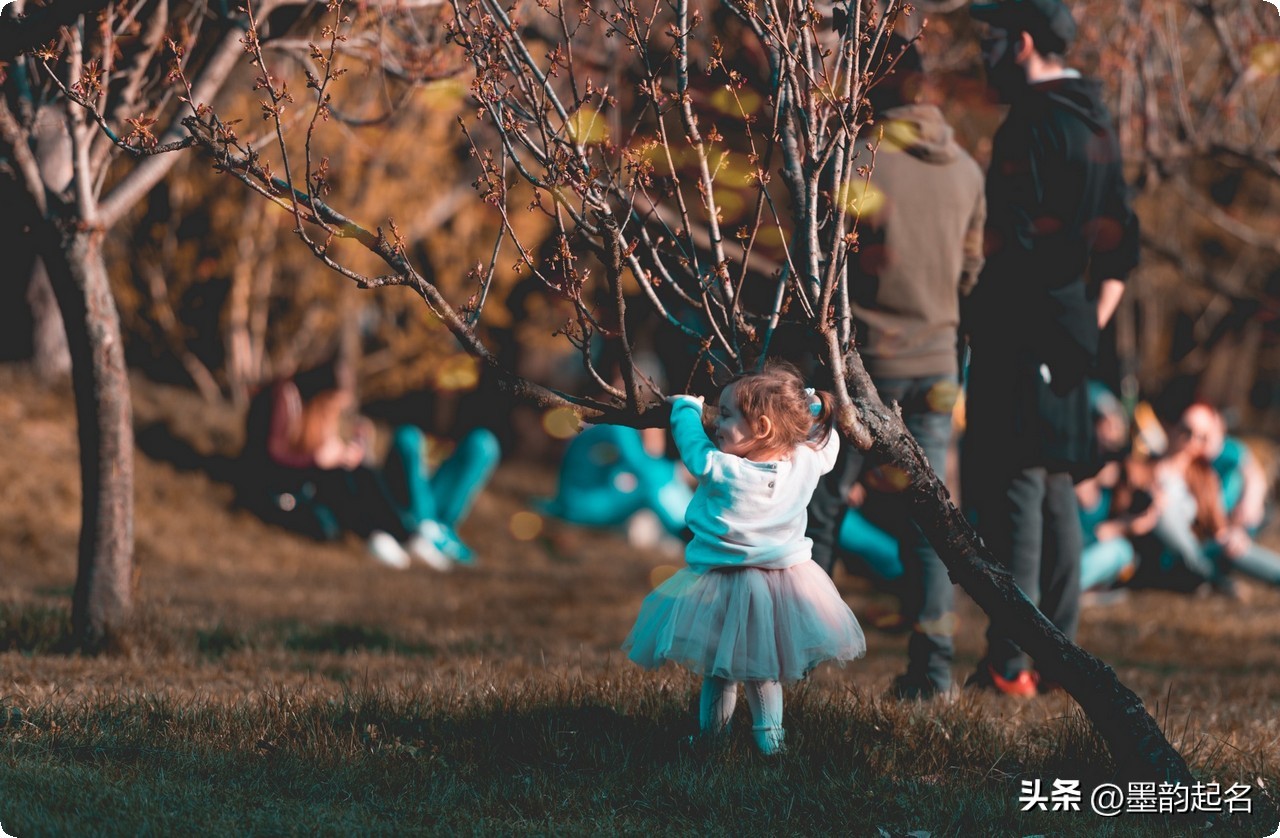 诗词中惊艳女宝名,清新脱俗的女孩名字诗句