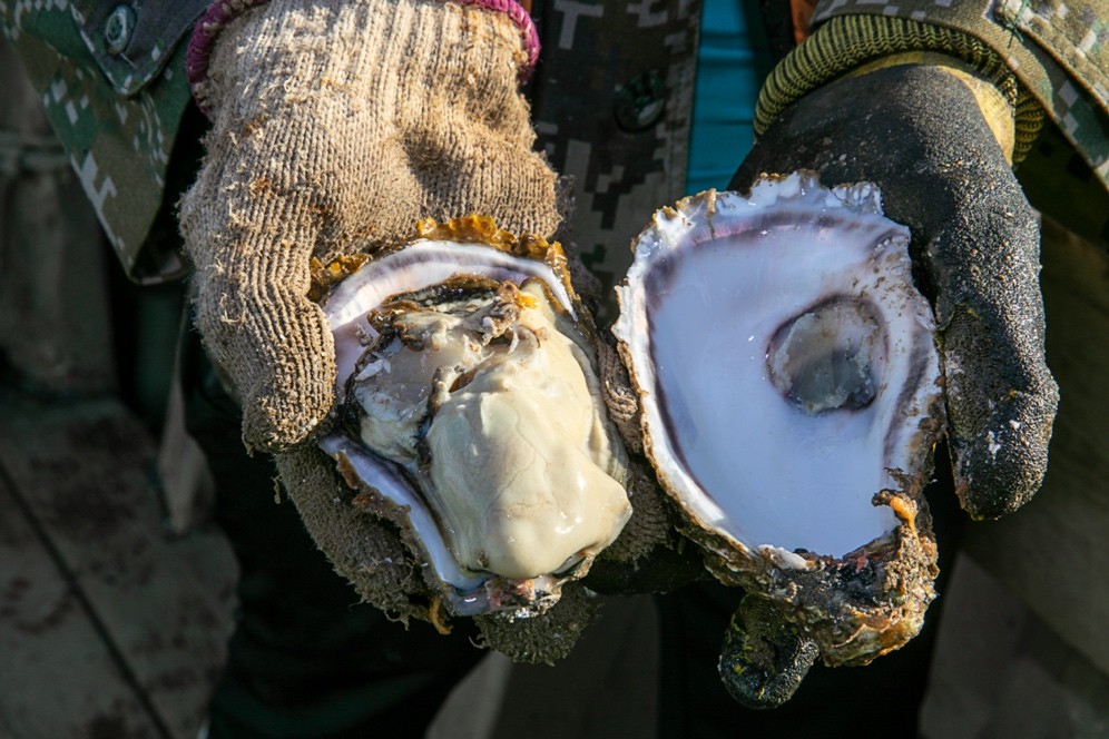 乳山生蚝优鲜品,生鲜优选乳山生蚝