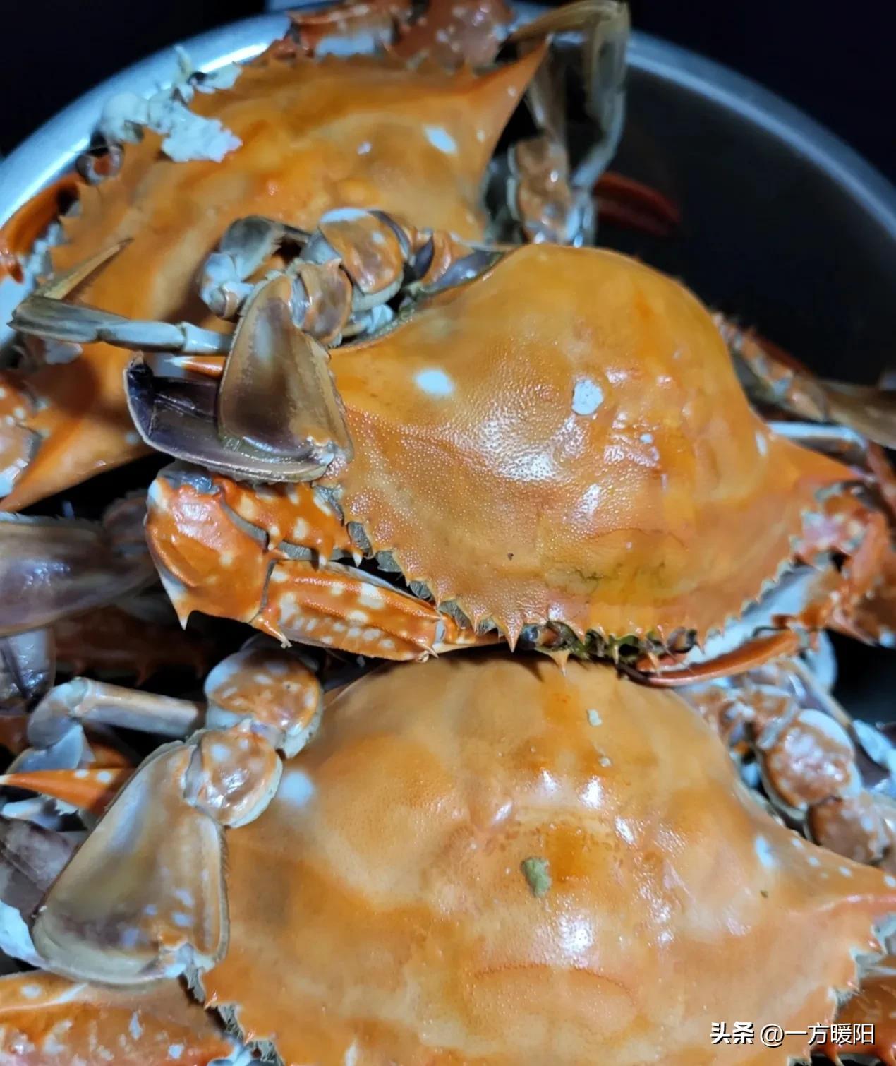 开海了一大波新鲜海鲜已上市,开海了一大波肥美海鲜正在上岸