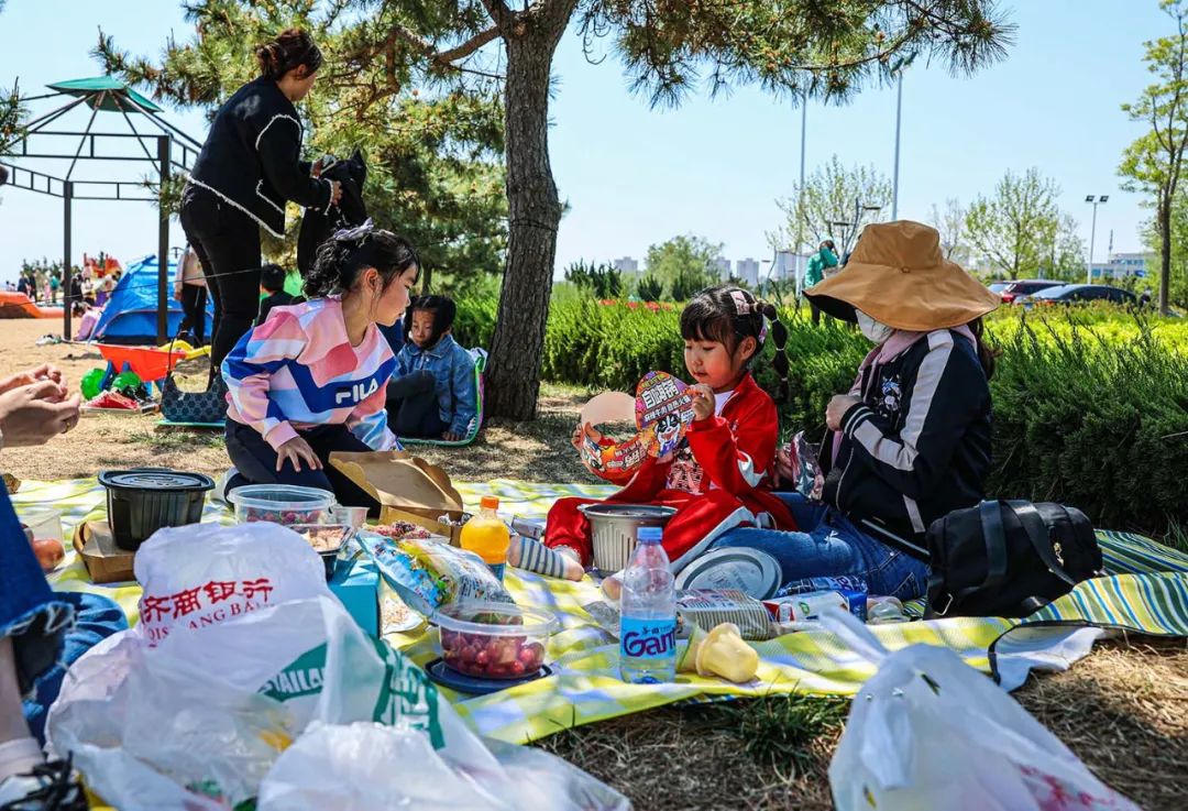 春天里的第一场露营安排,春天的第一次露营开始了