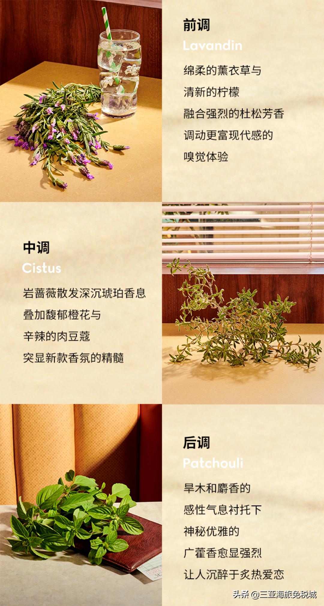 gucci罪爱燃情平替,gucci罪爱燃情什么味