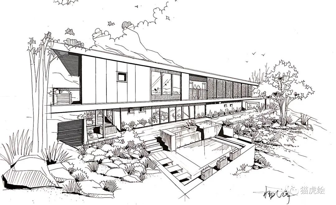 2022猫虎绘暑假手绘班招生简章「线上+线下」