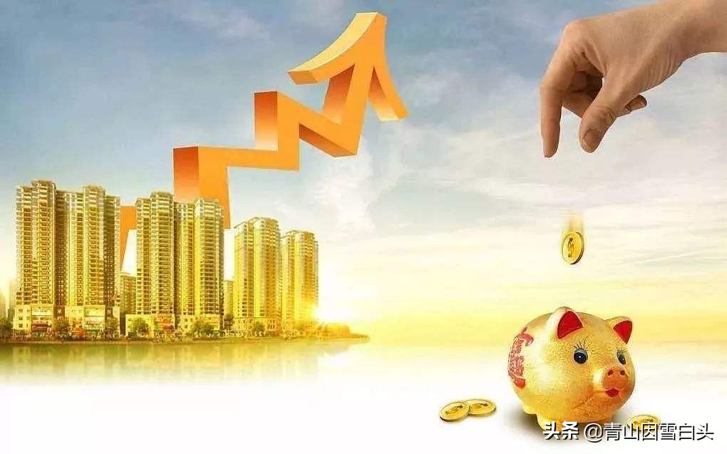 花有手掌大，能开半年，是污水治理的能手，还是绿化工程的香饽饽