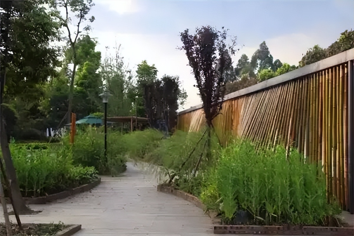 中国乡村改造项目,国内最成功的乡村改造案例