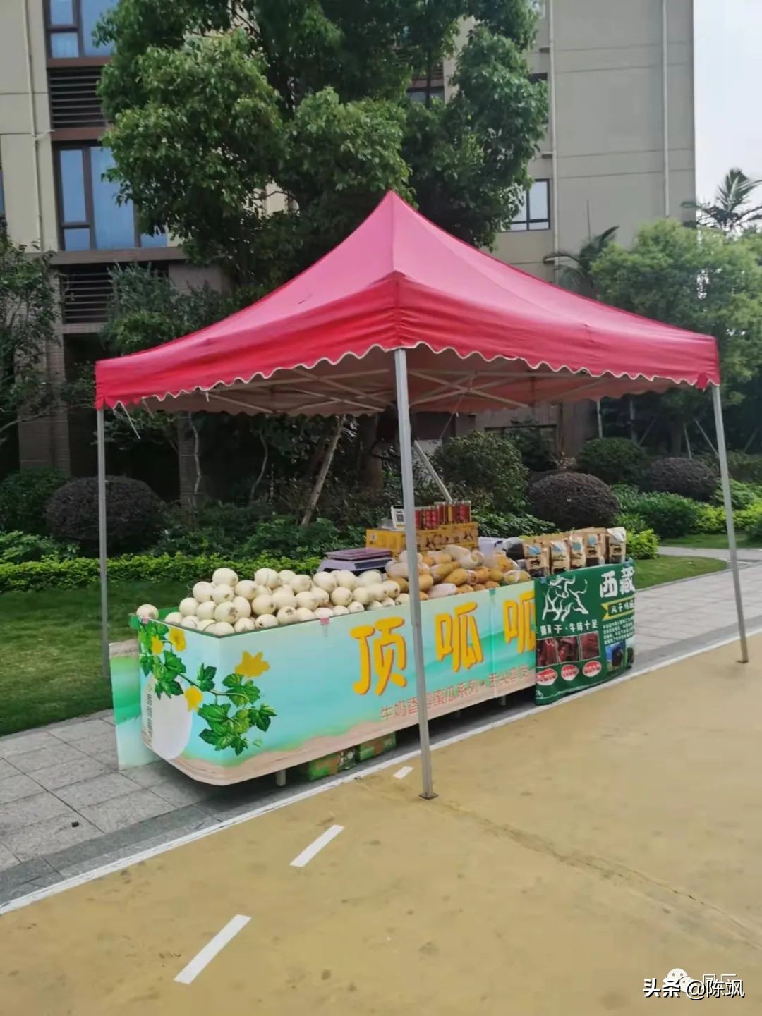 容桂凤凰湾社区,容桂凤凰湾简介