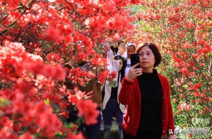 苏马荡人气旺,苏马荡五一