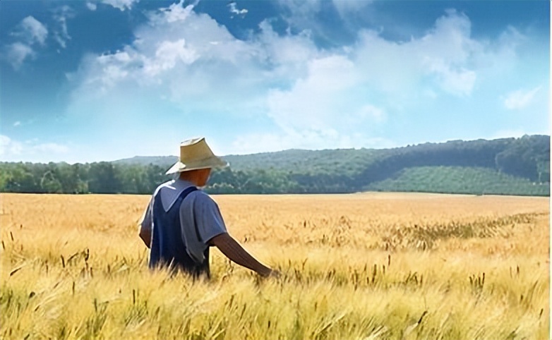 乡村振兴收入变化情况调研,去农村调研农民收入有哪些难点