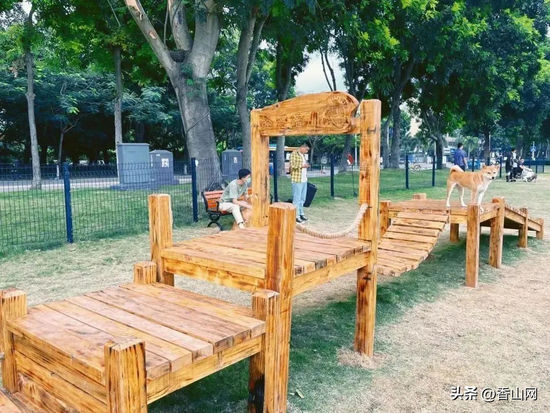 珠海唐家遛狗好去处,周末遛狗好去处乌鲁木齐