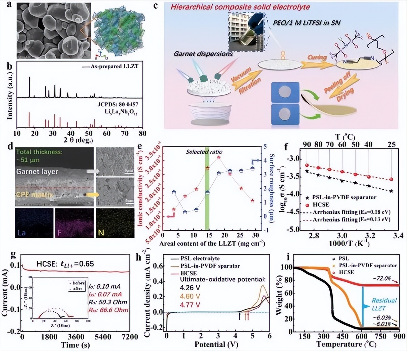 汉黄芩素纳米颗粒功能化钛/锶微纳结构界面能否促骨质疏松骨折？