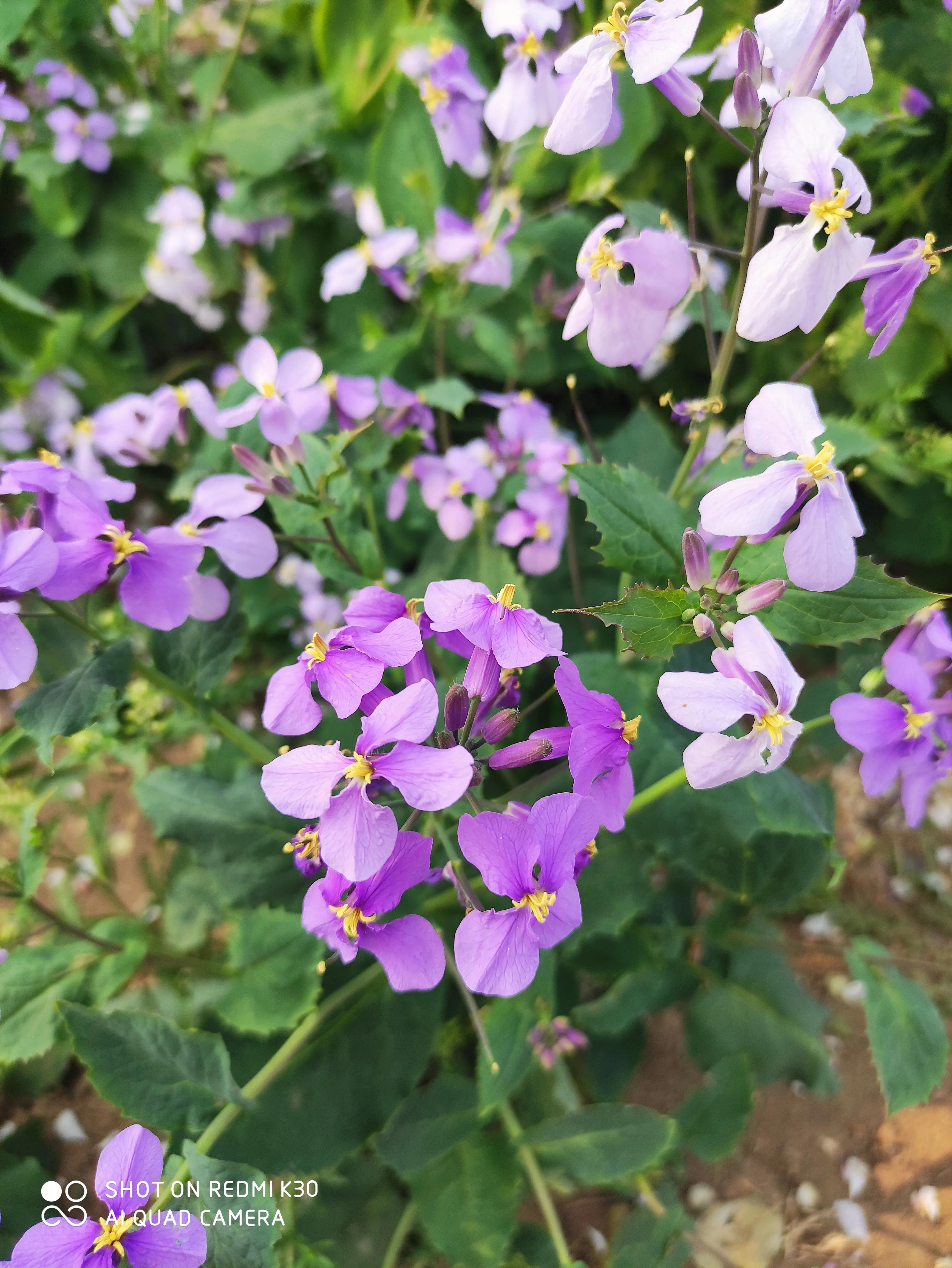 女人要自己挣钱不靠别人,女人要自己挣钱的图片