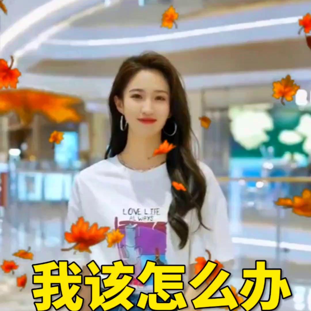 我该怎么办全集完整版,我怎么办全集