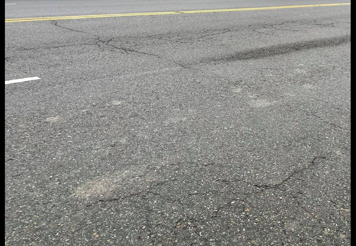 家猫被车撞死人跑了可以报警吗,猫被撞救回来还是死了