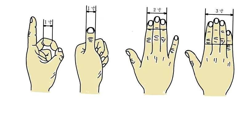 承筋穴主治小腿痛抽筋,承山穴预防治疗痔疮的特效穴