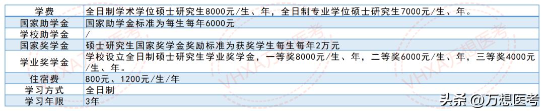 竞争小，几乎是上线就录——河北大学2023年报考信息全解析！