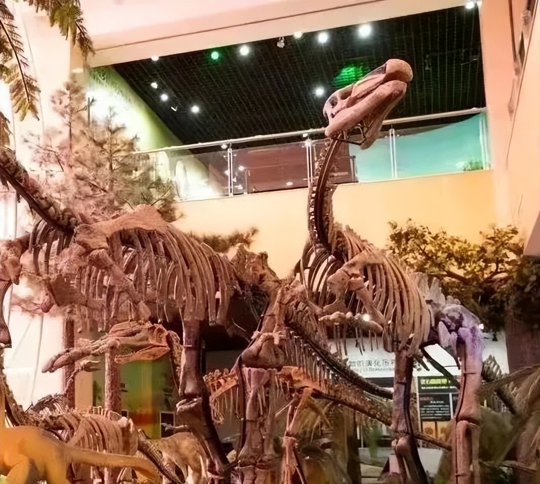 临河周边旅游线路大全,内蒙古临河自驾游景点