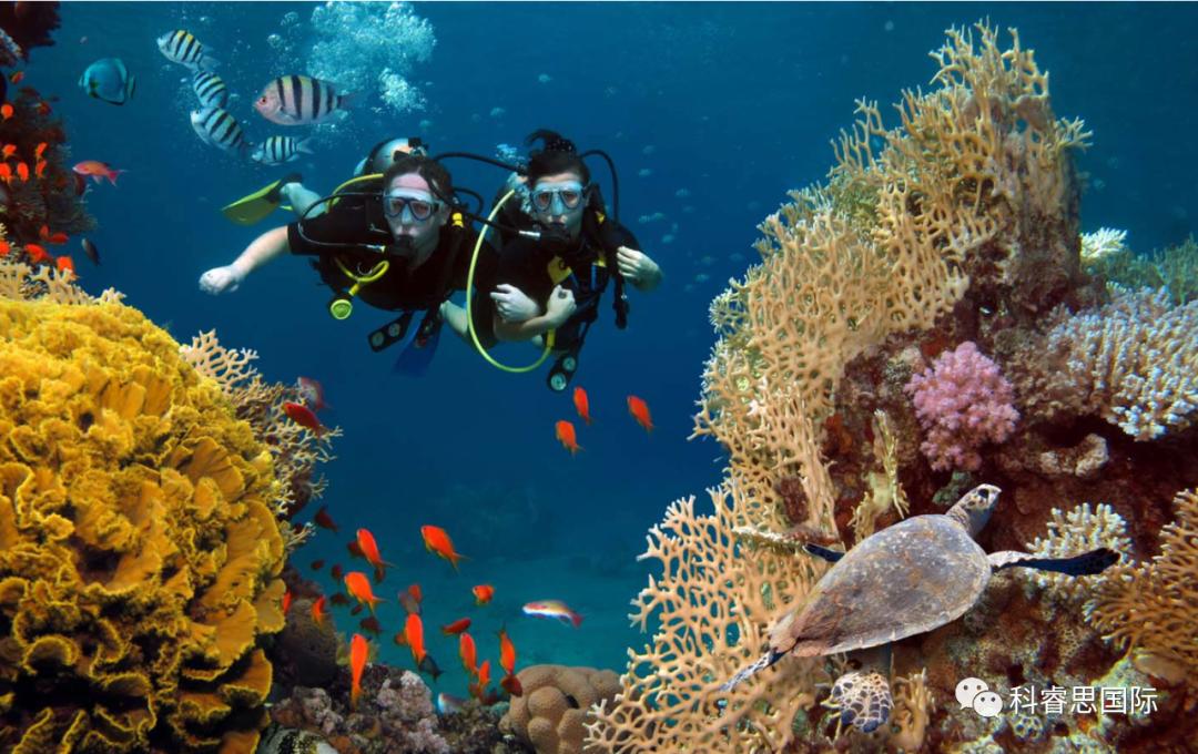 为阿联酋探索太空的计划,为环球旅行做准备