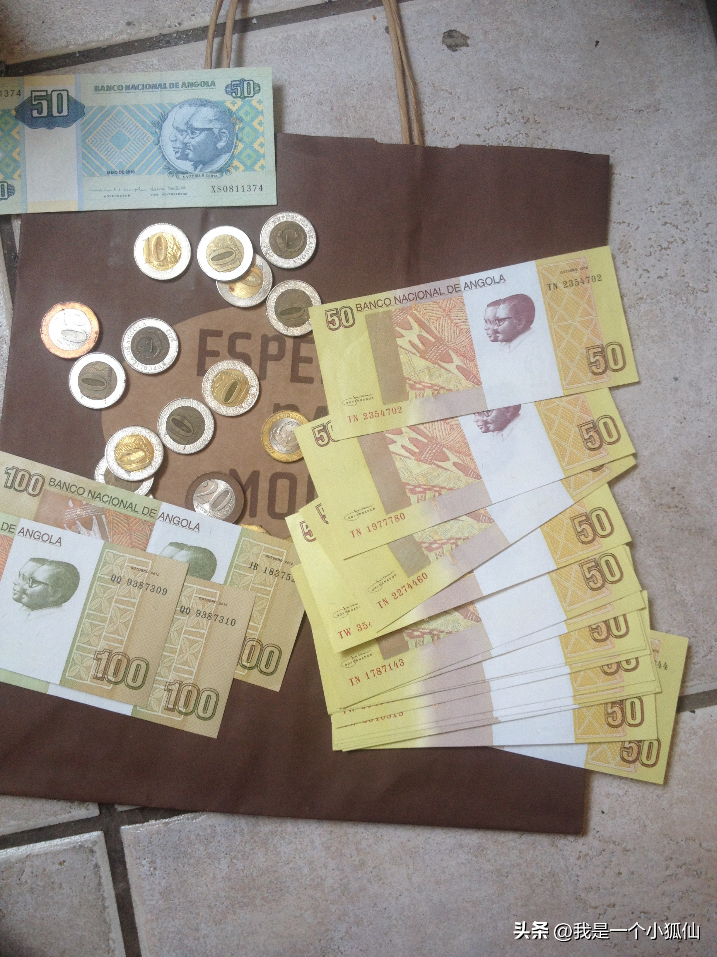 安哥拉树皮小故事,安哥拉那些事儿