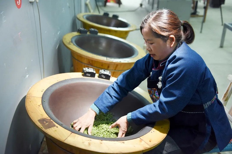 辛巴辛有志直播回放,辛巴辛有志为直播电商贡献人才