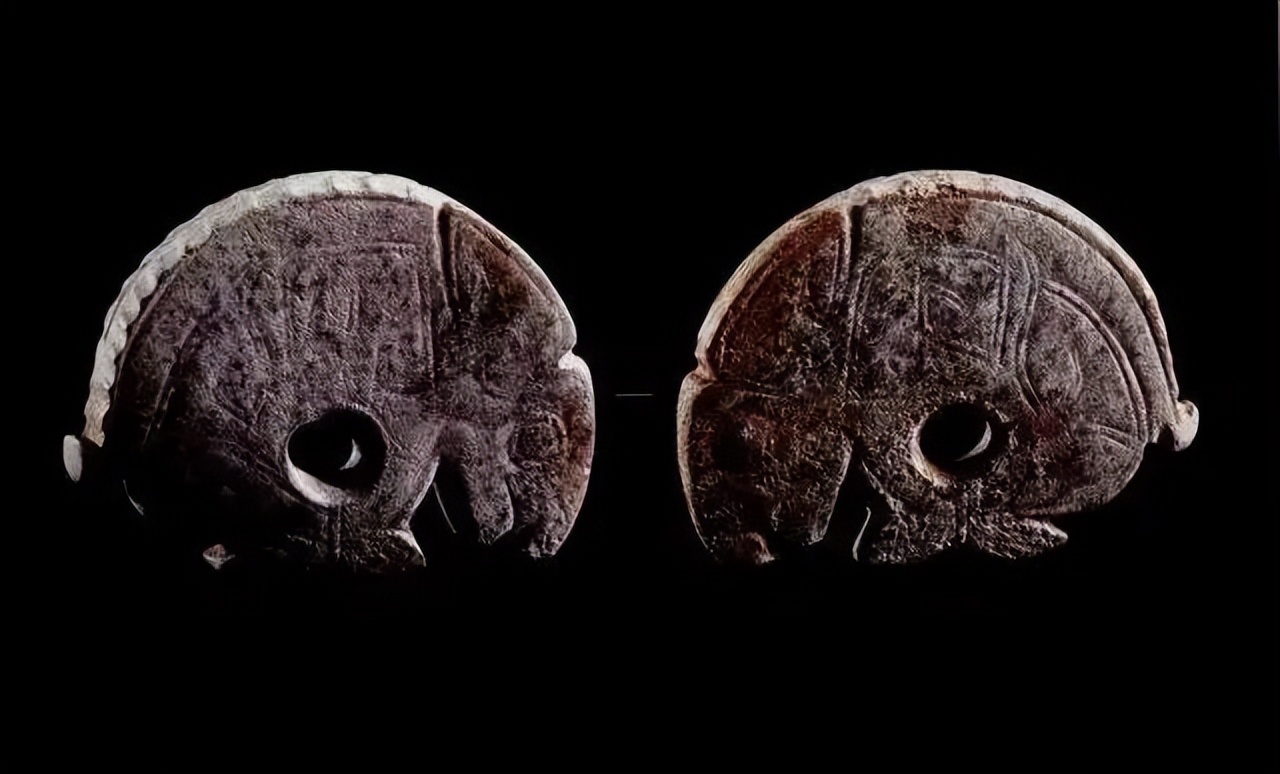 那年那兔那些年的故事,那年那兔那些事儿百年风云