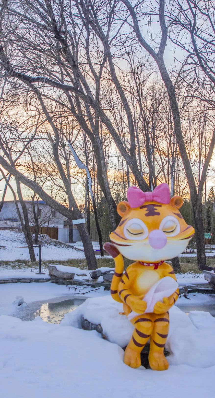 一汽大众开年活动,汉中一汽大众试乘试驾