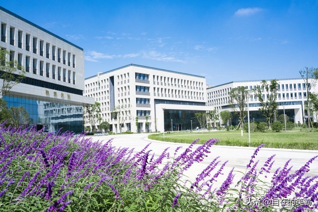 南京大学和华科计算机专业比较,电子科技大学和北京大学哪个好