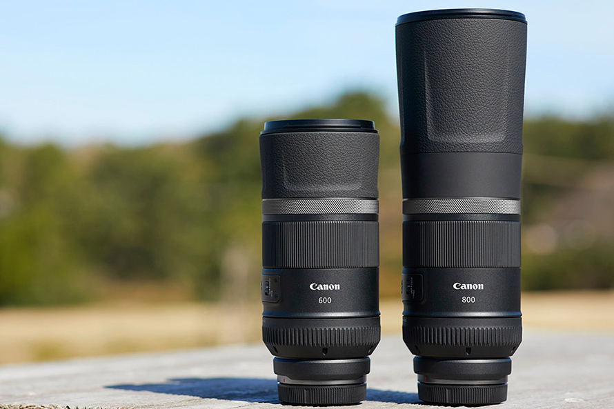 佳能eosr8打鸟,佳能eosr8拍视频变焦