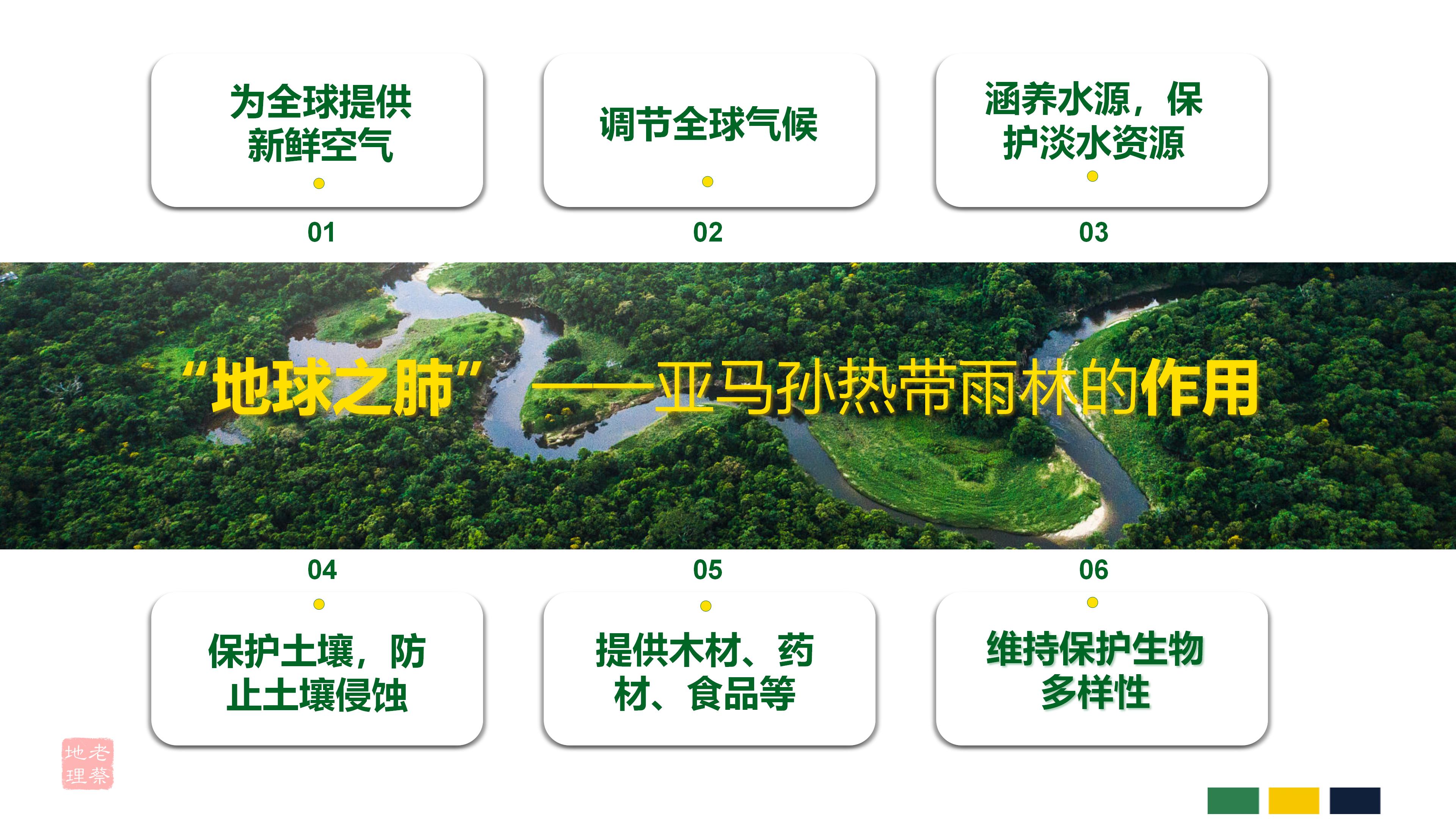 初中地理巴西知识点思维导图,七年级下册地理巴西教案人教版