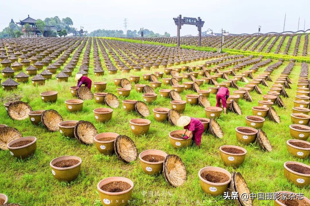 新时代新风尚摄影作品,新时代新风尚书画展