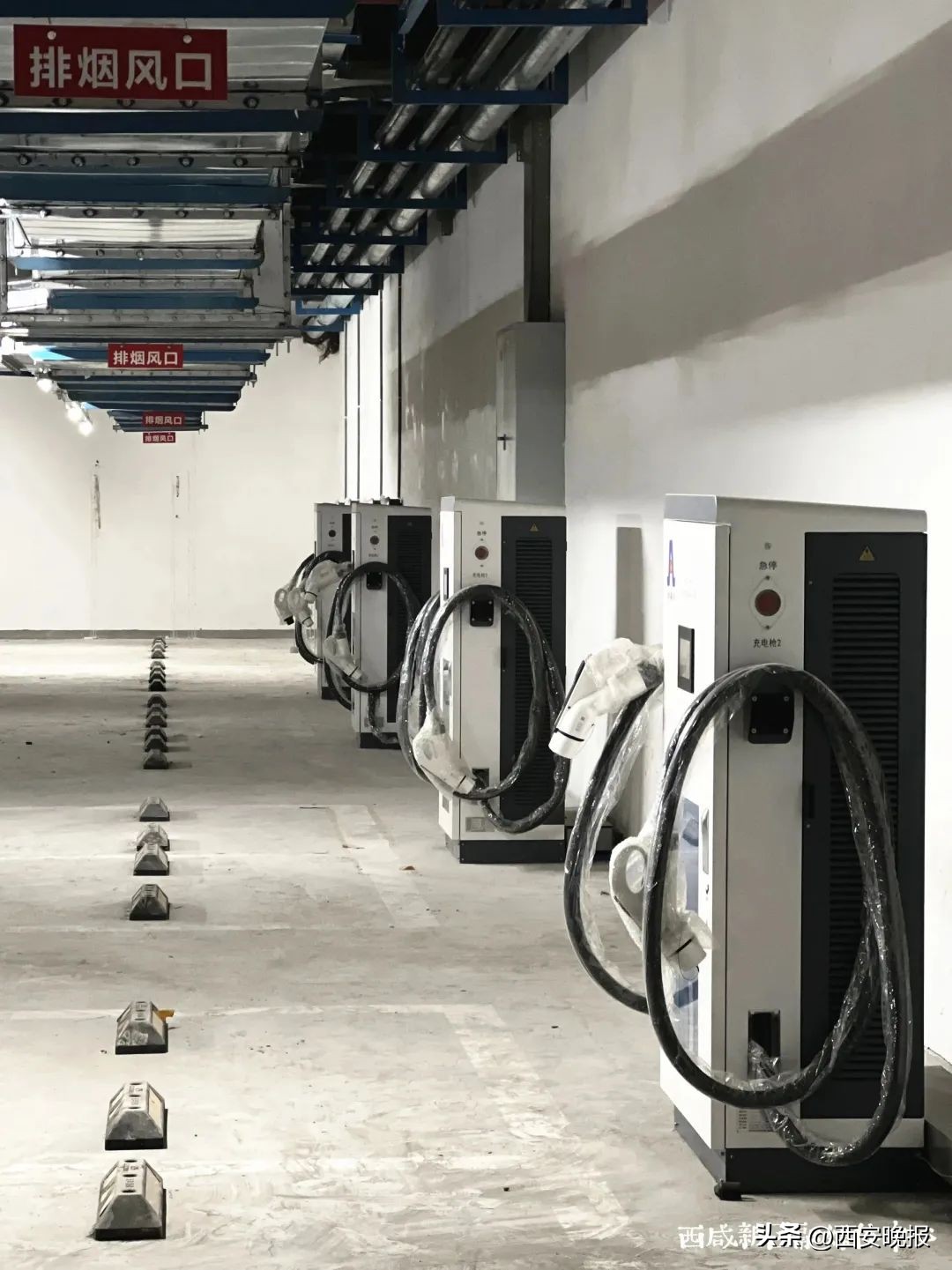 234套人民币全套在哪预定,234套人民币价格表