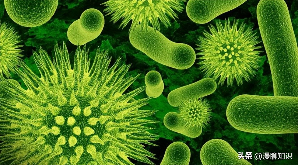 妇阴康洗剂效果怎么样,妇阴康洗剂是抗生素药吗