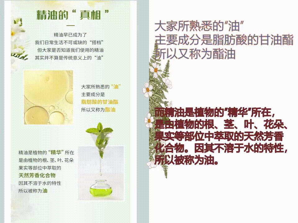 各种香味精油的作用,香遇白茶香护发精油