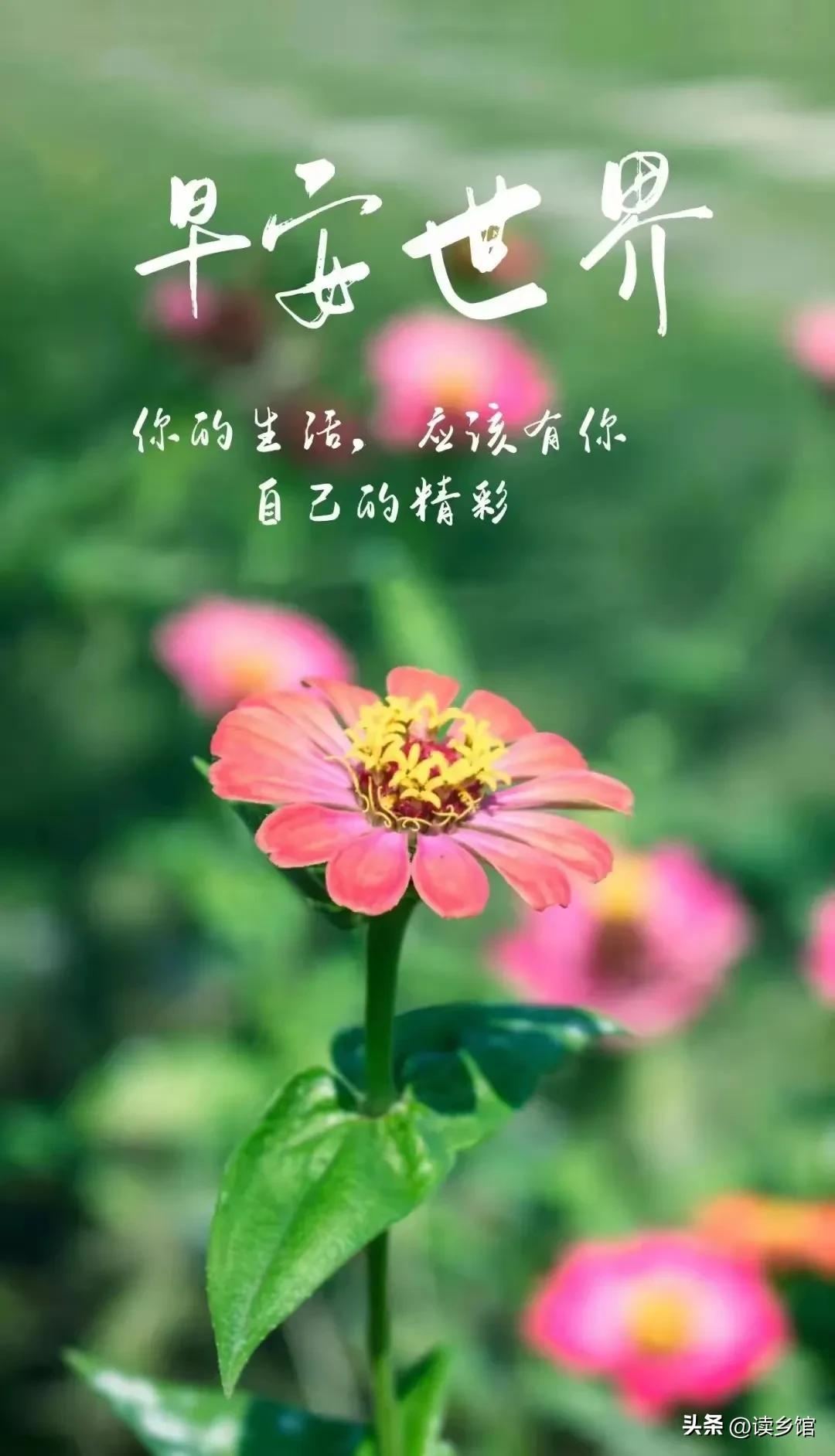 读乡馆原创作品(1~9)