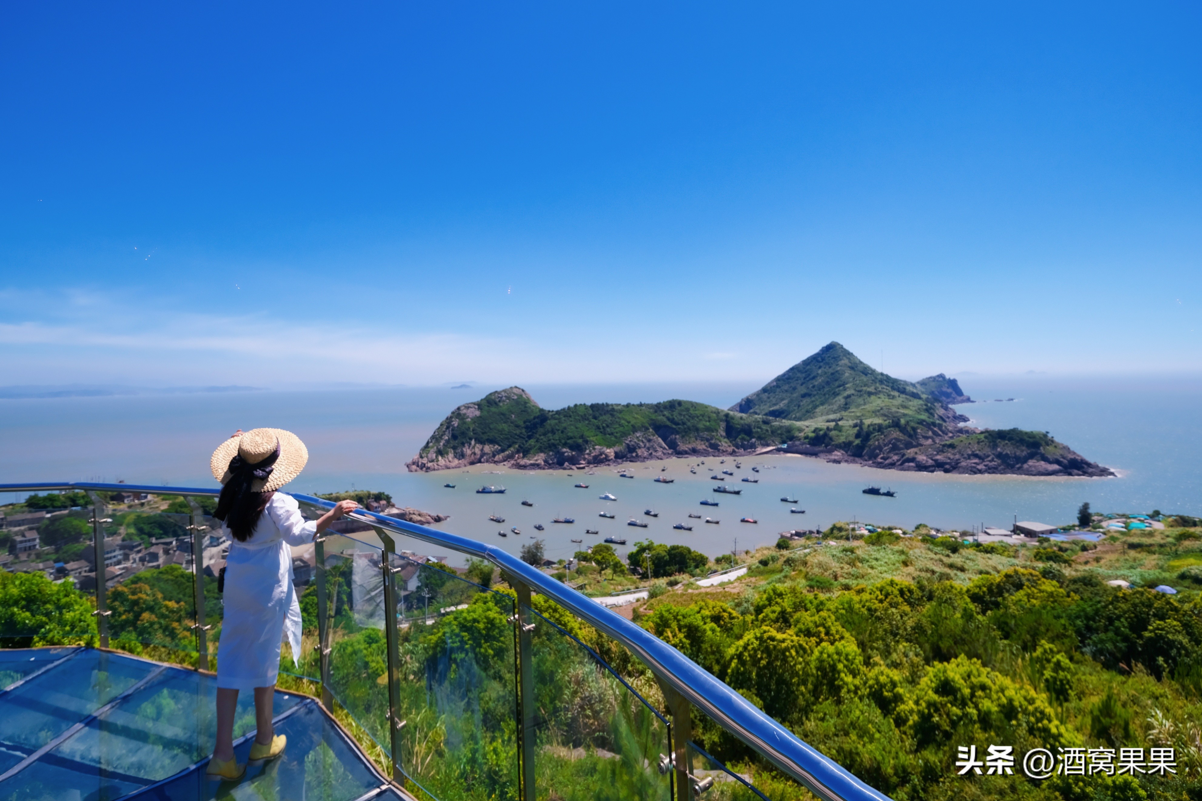 福鼎两天一夜旅游攻略,福鼎茶漫步茶园体验采茶之旅