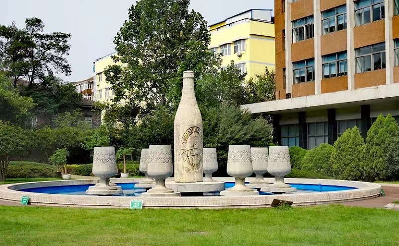 青岛旅游十大必去景点全面介绍,去青岛旅游必去的十大景点推荐