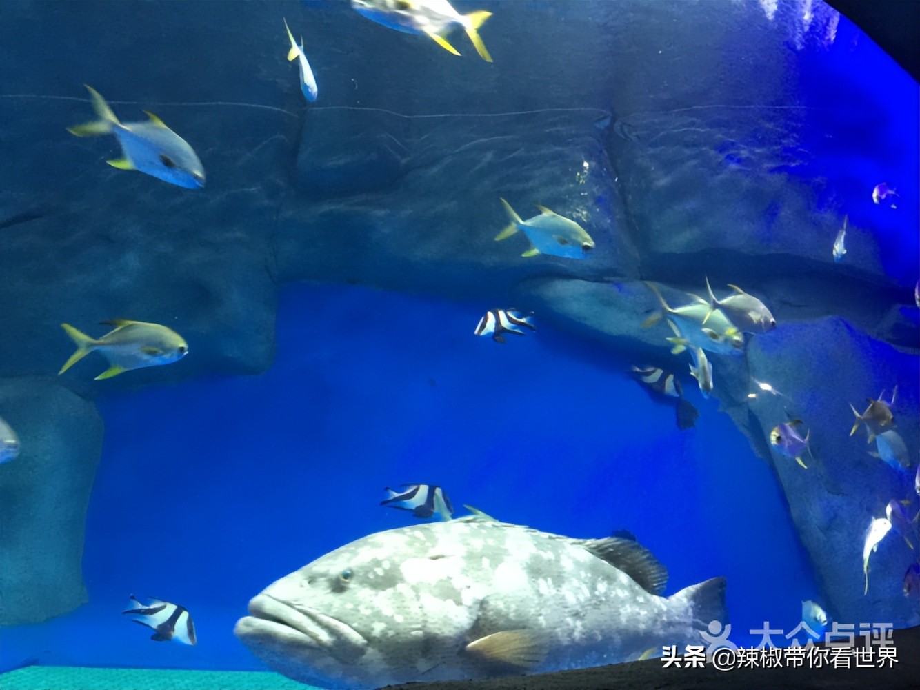 盐城最大的海边城市,盐城海岸线为何一直延伸