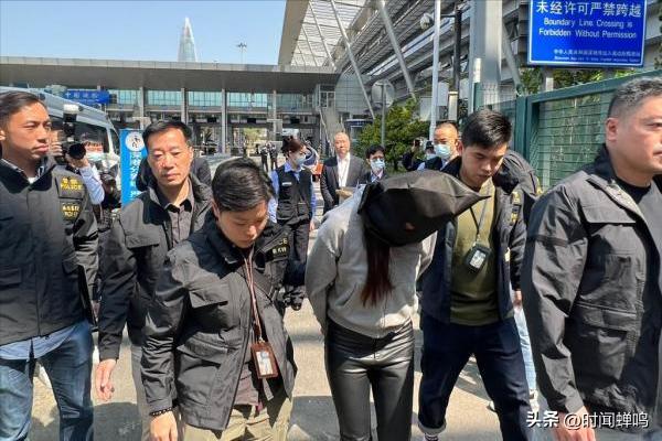 蔡天凤惨遭碎尸案细节,蔡天凤碎尸案惨状