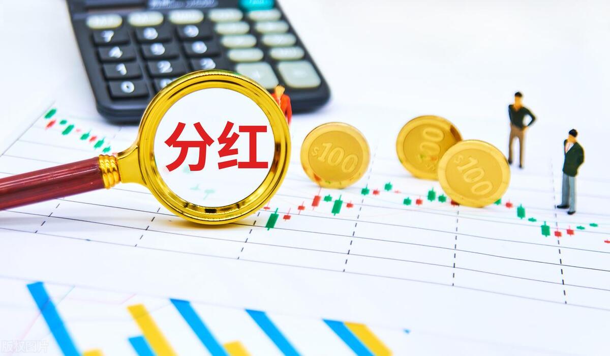 股息和红利的区别,股票的股息和红利区别