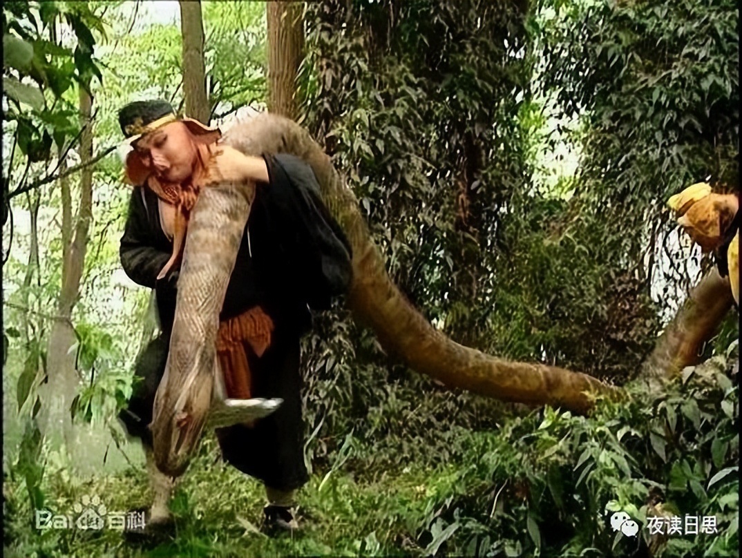 西游记里的蟒蛇精找谁来演,西游记蟒蛇精变成了老太婆