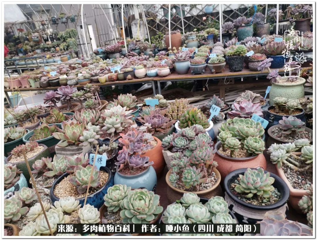 看世间繁华品一生,看世间繁华品人生美味