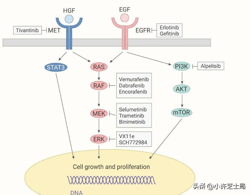 戊唑醇与磷酸二氢钾混用控旺吗,戊唑醇与磷酸二氢钾一起用吗