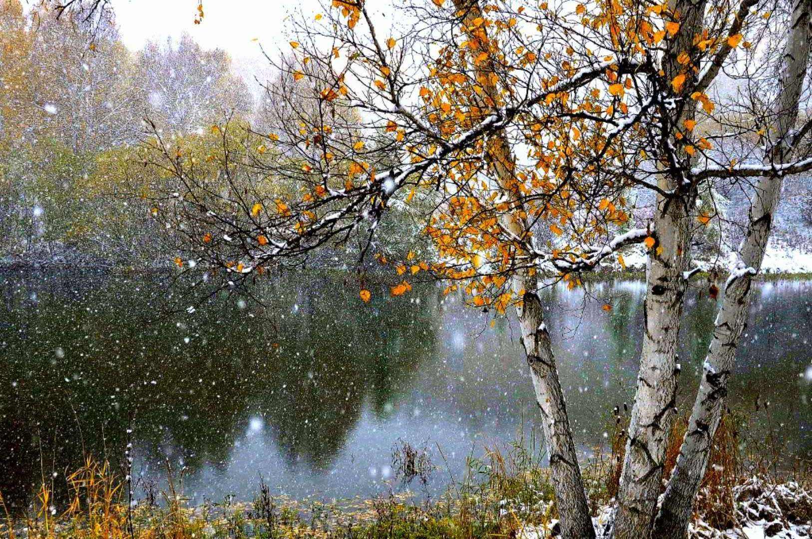 带瑞雪的古诗词有哪些,瑞雪的诗句名句