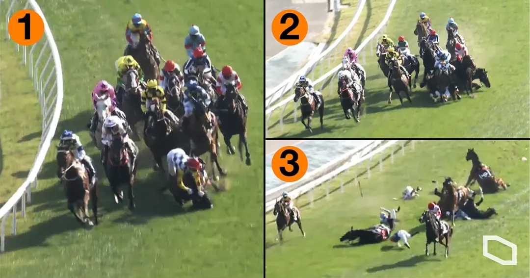 2马死亡3人受伤事故“早有征兆”？香港赛马会赛驹选拔标准遭质疑