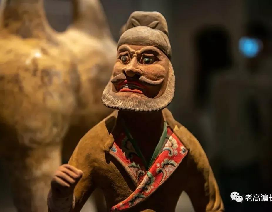 假期参观陕西考古博物馆,陕西考古博物馆开馆直播