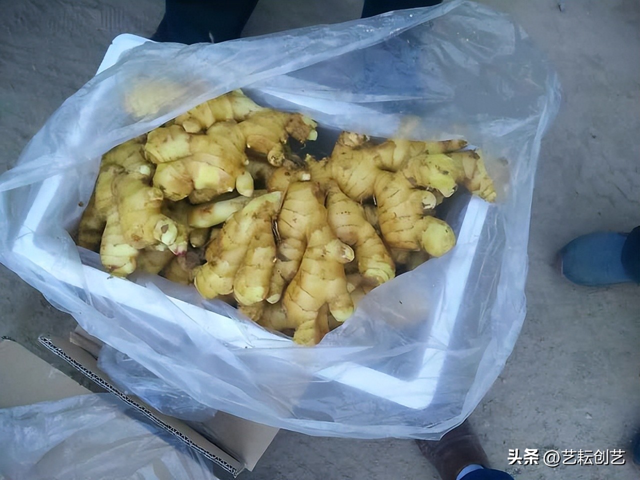 全国地理标志农产品目录系列之——辽宁省（二）