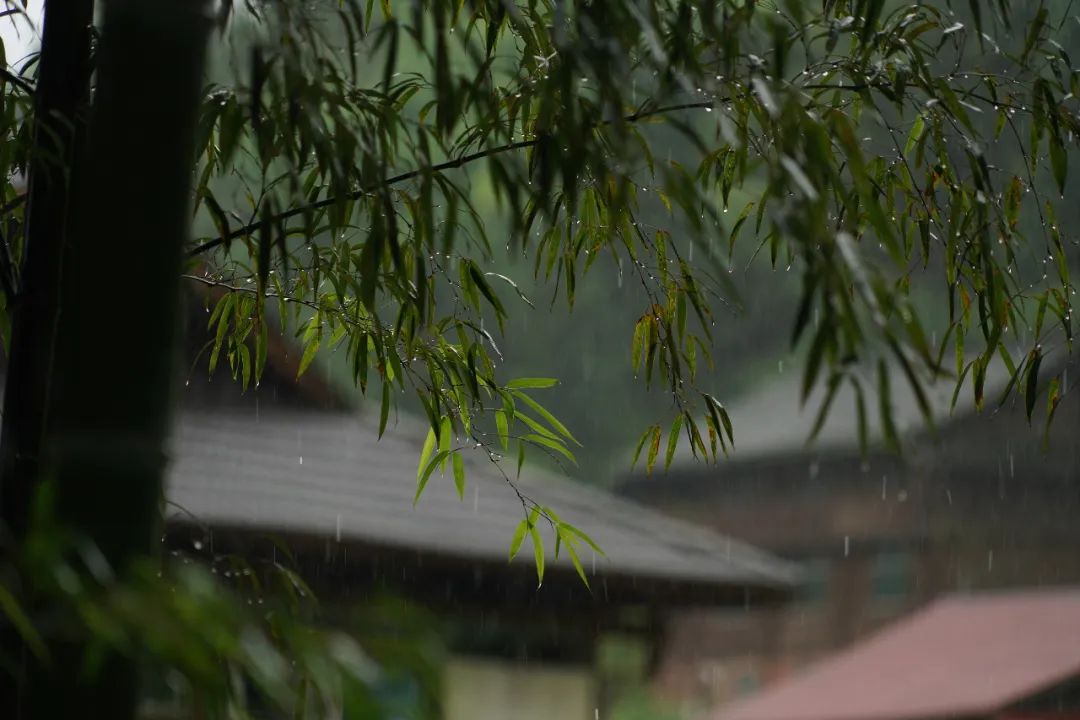 刚刚，青岛5万多勇士霸气走进战场！少年，此去何求？夺盛名、拔头筹、争魁首、独占鳌头！