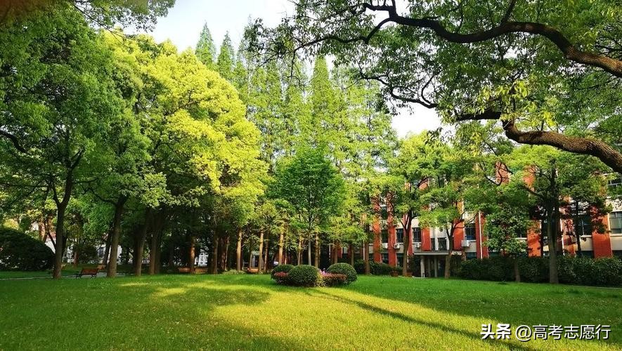 二本高校中的王牌专业值得学吗,招收二本专业的一本大学