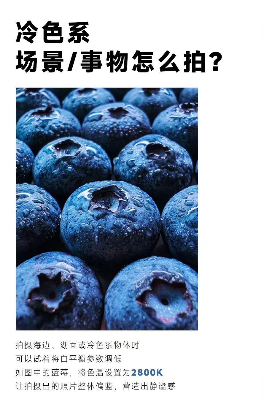 手机专业模式拍照初学者教程,安卓手机拍照如何秒变单反