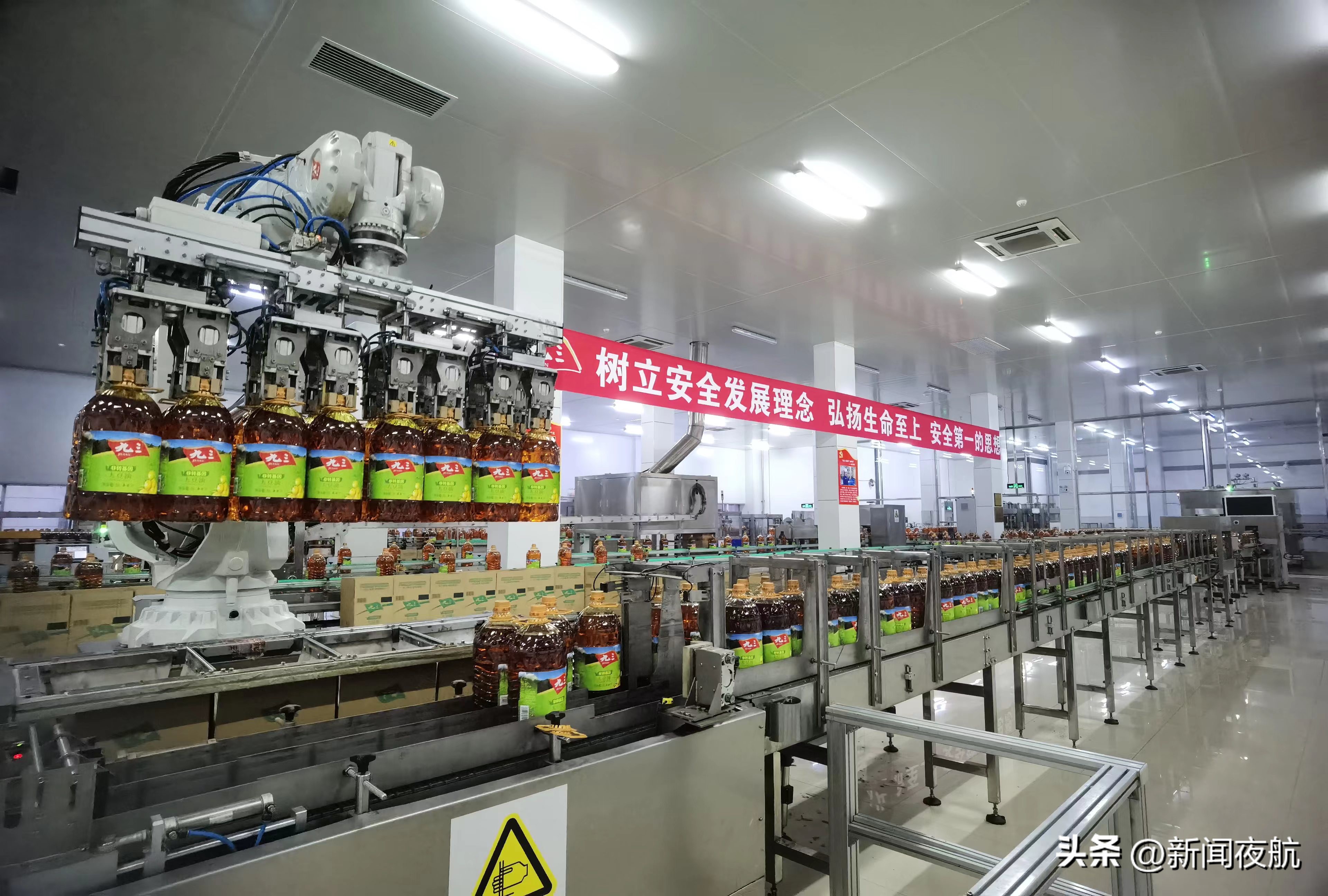 鎵庢牴榛戝湡绛戞ⅵ榫欐睙,鎵庢牴榛戝湡