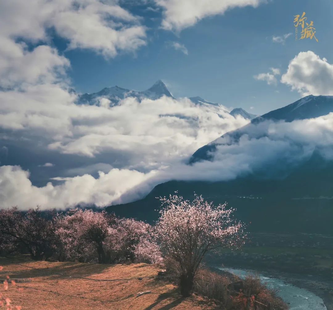 藏西攻略,藏西有什么好玩的